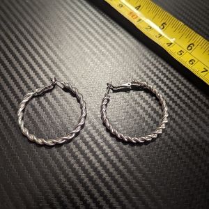 Silver Tone Hooped Earrings
